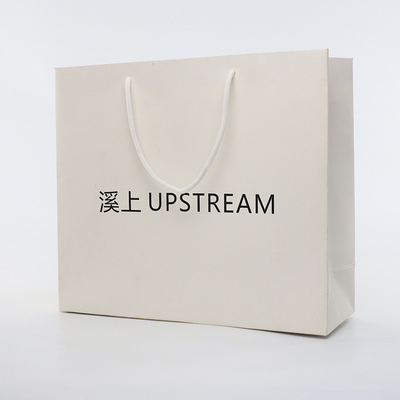 Gravure Printing Custom Printed Paper Bags With Handles Gift Bags ODM
