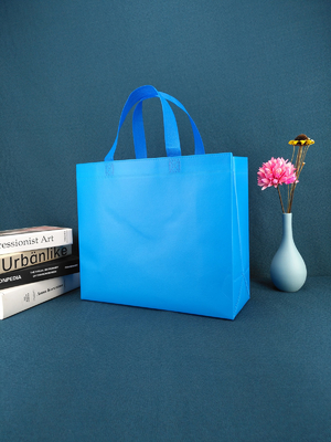 Recycled Blue Clothing Shoe Gift Bag Non Woven Tote Bag Custom Reusable