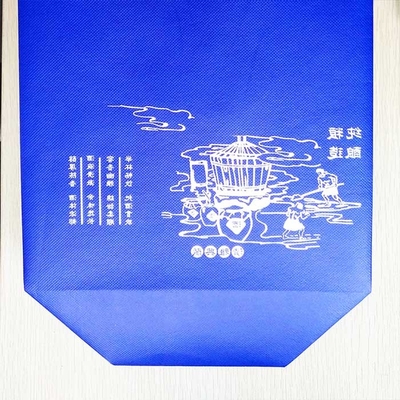 Eco Friendly Non Woven Shopping Bags Silk Screen Non Woven Shoe Bag