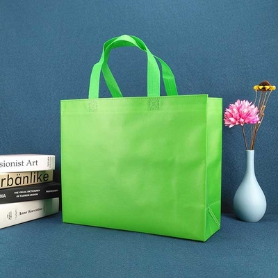 Eco Friendly Promotional Non Woven Shopping Bags 50gsm Green Non Woven Shoe Bag