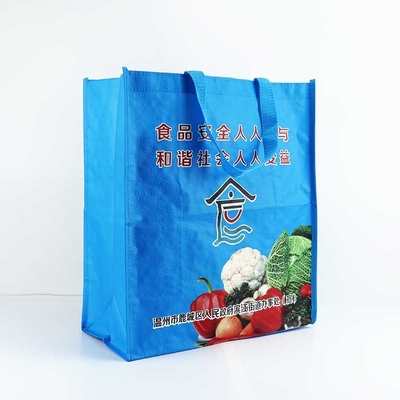 Folding 140Gsm Polypropylene Woven Bags Fire Retardant For Home