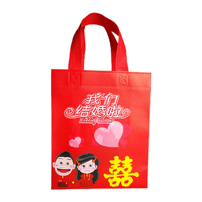 Environmental Friendly Laminated Polypropylene Tote Bags For Shopping