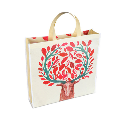 Anti Bacterial PP Laminated Non Woven Handle Bag Anti Shrink Customized Non Woven Bag
