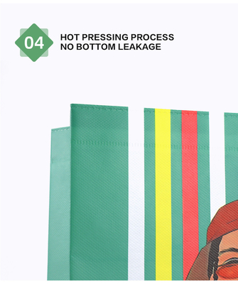 Custom Printing Non Woven Clothing Bags Eco Friendly Biodegradable